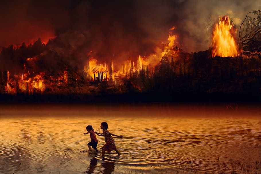 children escaping forest fires