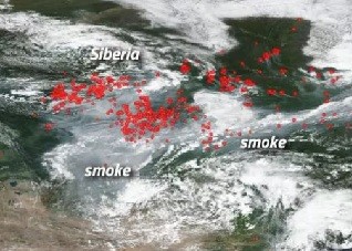 wildfire arctic north