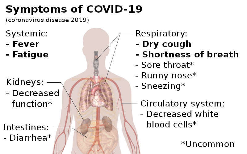 coronavirus covid19 symptoms