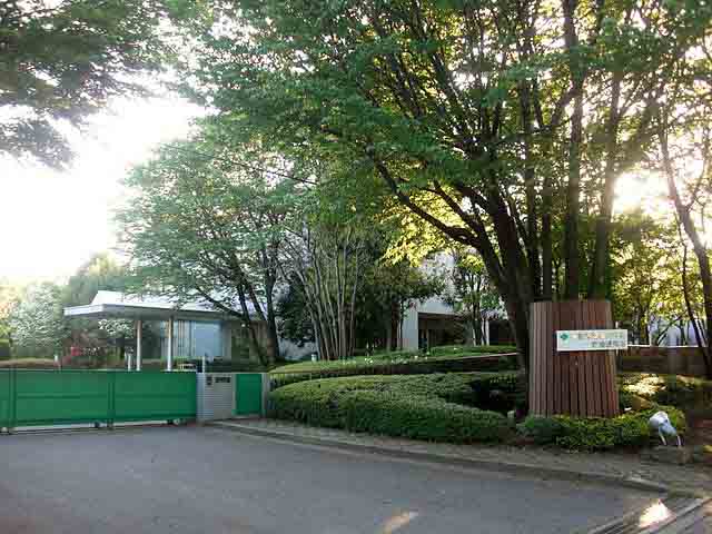 Sumitomo Forestry is developing wooden satellites