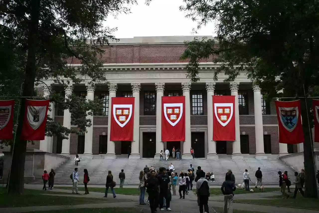 Harvard university