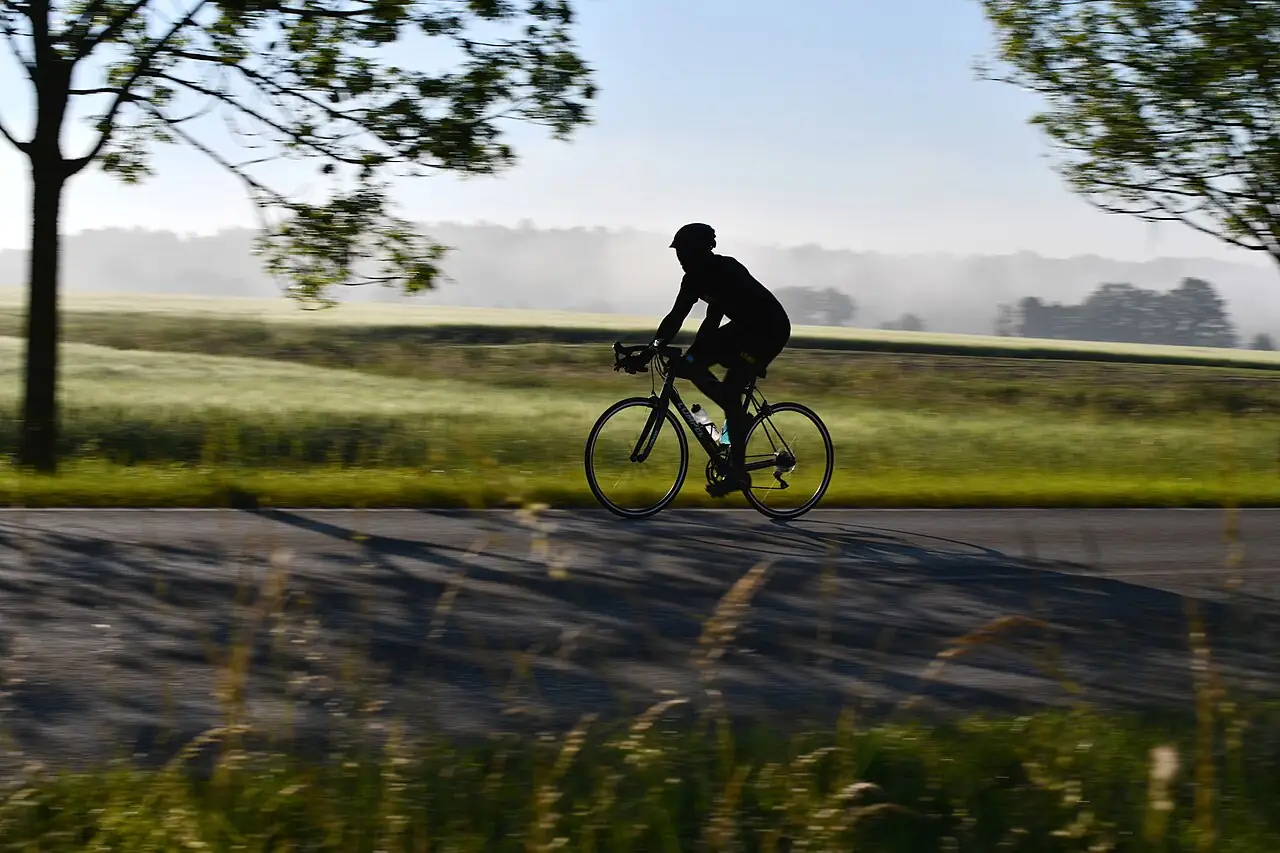 exercise for a healthy heart